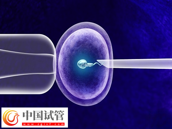 烏克蘭做試管怎么防止被騙(圖2) 烏克蘭做試管怎么防止被騙(圖2)