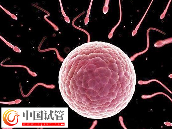 廣州人民醫院試管費用價格表(圖2) 廣州人民醫院試管費用價格表(圖2)