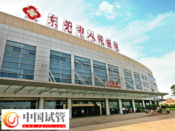 在東莞人民醫院做試管成功率高不高(圖1)