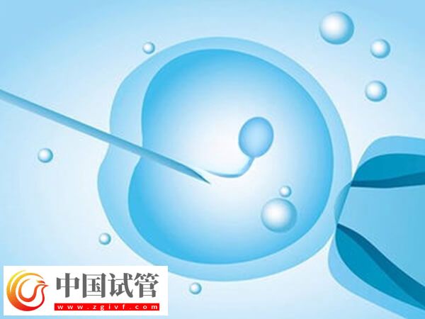 試管失敗是不是等于流產(chǎn)(圖1) 試管失敗是不是等于流產(chǎn)(圖1)