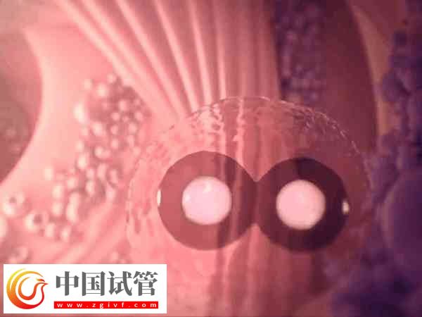 試管失敗是不是等于流產(chǎn)(圖2) 試管失敗是不是等于流產(chǎn)(圖2)