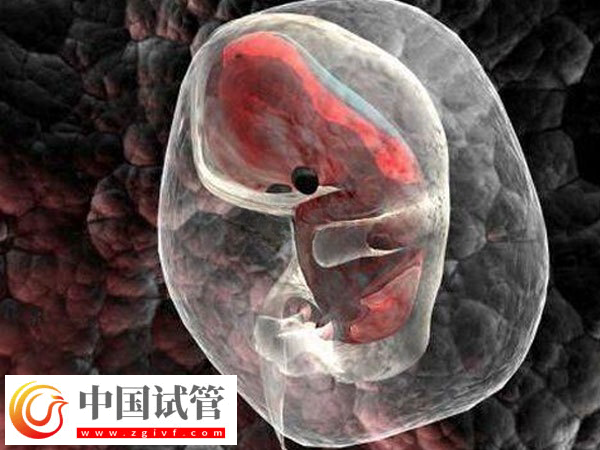 泰國試管嬰兒技術好不好(圖1)