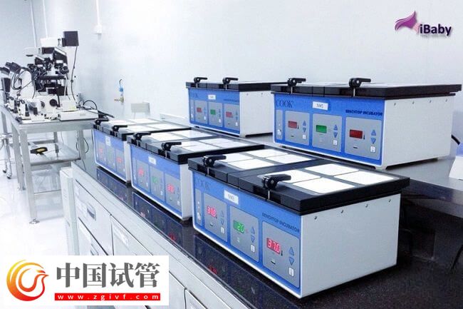 DNAAF2基因突變是什么情況(圖1) DNAAF2基因突變是什么情況(圖1)