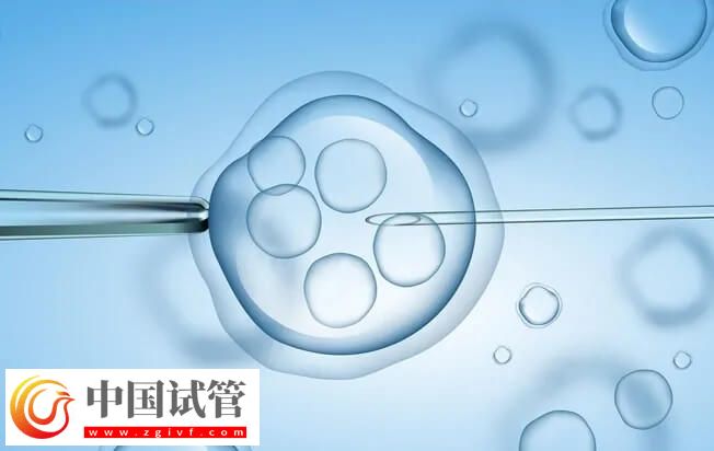 凍胚移植失敗了是不是質量不好(圖1)