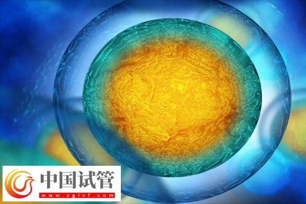 胚胎移植后會不會自己掉下來(圖1)