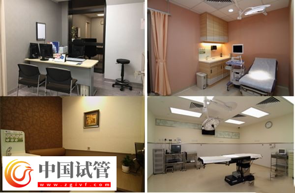 夫妻去美國做試管怎么選擇醫院(圖3) 夫妻去美國做試管怎么選擇醫院(圖3)
