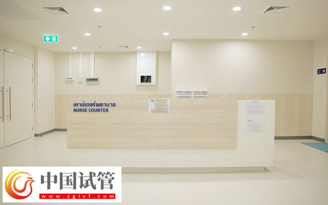 去泰國做試管有沒有受騙的(圖3) 去泰國做試管有沒有受騙的(圖3)