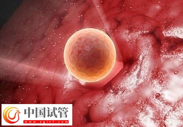 卵巢早衰amh值0.08試管能不能成功(圖2) 卵巢早衰amh值0.08試管能不能成功(圖2)