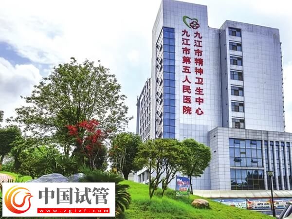 九江市第五人民醫院試管嬰兒囊胚移植成功率有多高？(圖1)