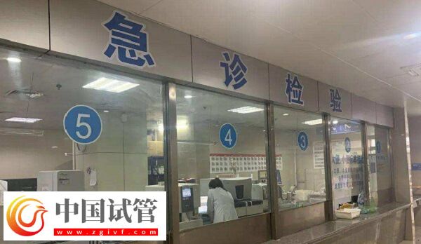 宿州做試管嬰兒選煤電總醫院和市第一人民醫院哪個好？(圖1)