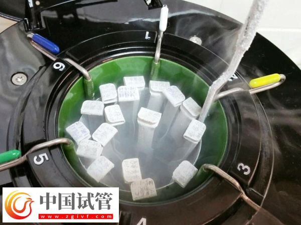 胚胎質量不良會怎么樣(圖2)