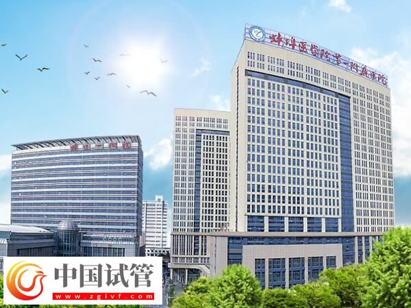 蚌醫一附院做一次一代試管嬰兒準備5萬元夠不夠？(圖1)