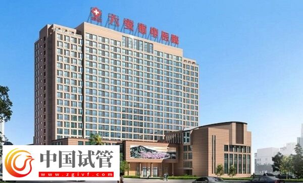 六安公立醫院做一次供卵試管嬰兒要多少錢？(圖1)