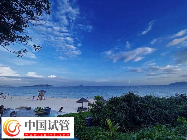 海南三亞供卵試管嬰兒費用大約多少錢？(圖1)