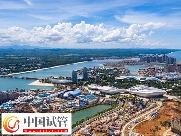 儋州哪家公立醫院有試管嬰兒助孕技術？(圖1)