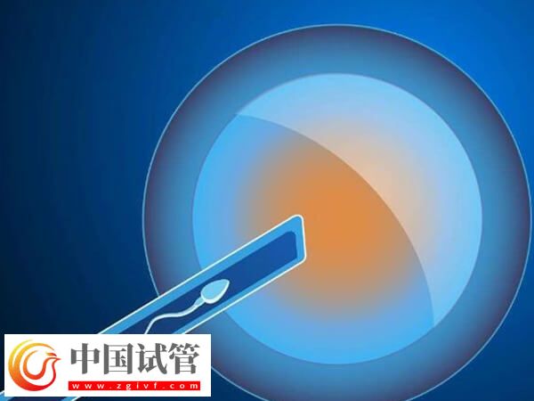 北華大學(xué)附屬醫(yī)院試管嬰兒是第幾代技術(shù)？(圖1)