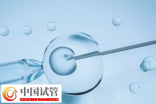 試管移植1個還是2個好(圖1)