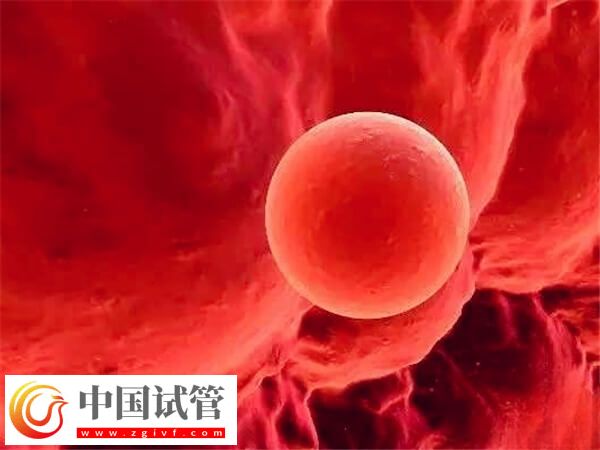 臀位看男女方法確實坑人,當心胎位不正小事變大事(圖1) 臀位看男女方法確實坑人,當心胎位不正小事變大事(圖1)