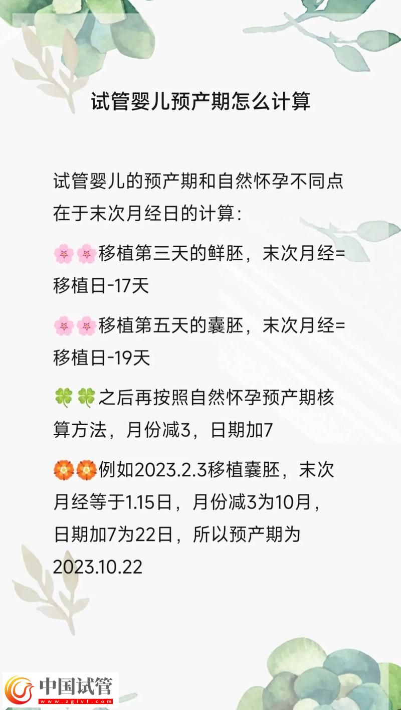 試管嬰兒的孕期計算方法(圖1)