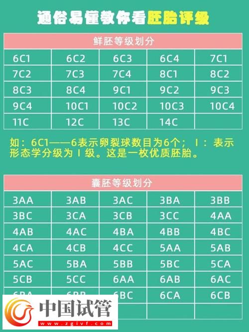 試管嬰兒寄存的合理期限探討(圖1)