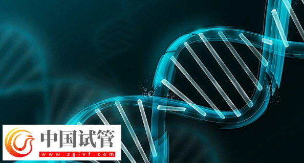 做三代試管嬰兒生子要多少錢？三代試管費用高不高(圖1)