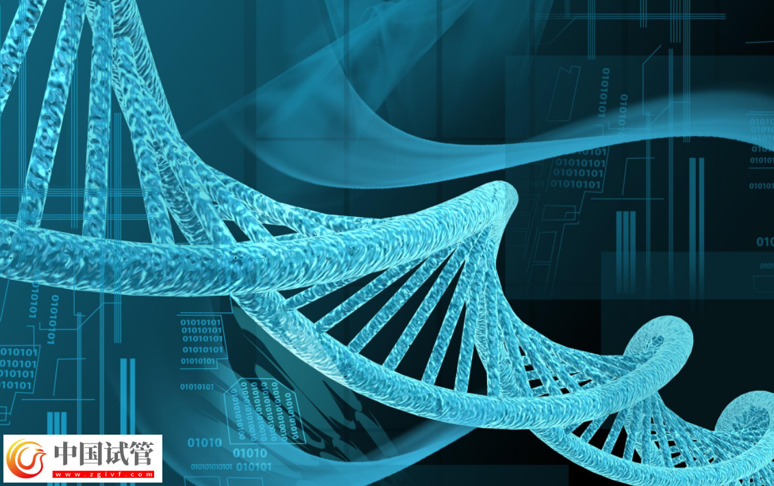 正常夫妻做三代試管嬰兒生子多少錢？(圖1)