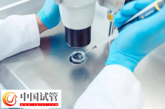 不婚者可以做三代試管嬰兒生子嗎？(圖1)