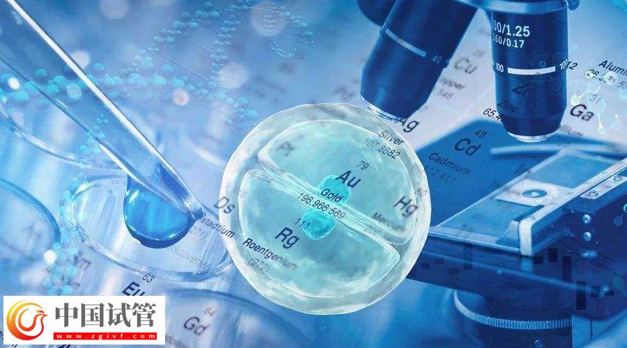 單身媽媽可以做三代試管嬰兒生子么?(圖1) 單身媽媽可以做三代試管嬰兒生子么?(圖1)