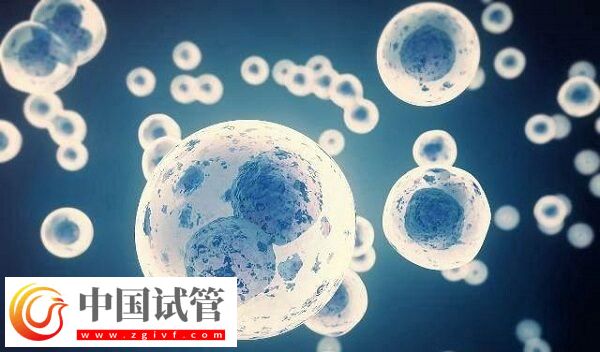 精子活力低做試管怎么辦(圖1) 精子活力低做試管怎么辦(圖1)