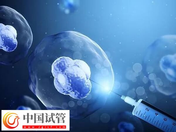 高齡做試管嬰兒怎么調(diào)理身體(圖1) 高齡做試管嬰兒怎么調(diào)理身體(圖1)