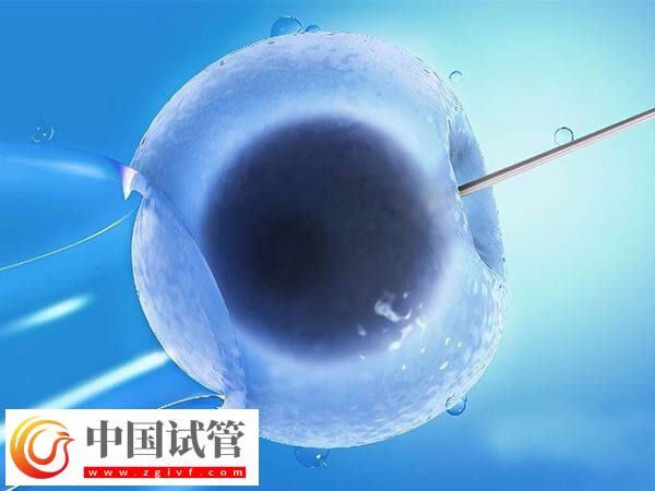 移植鮮胚后多久著床(圖2)