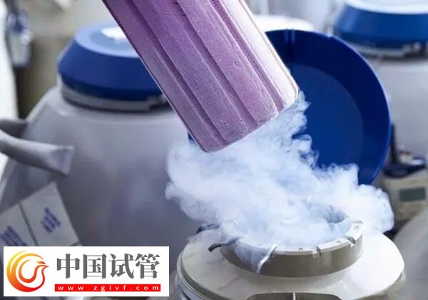 試管移植后剩余的胚胎怎么處理(圖1)