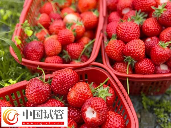 試管移植后能吃哪些水果(圖2) 試管移植后能吃哪些水果(圖2)