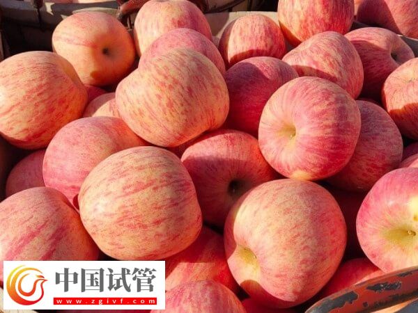 試管移植后能吃哪些水果(圖1) 試管移植后能吃哪些水果(圖1)