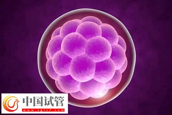 二代試管嬰兒費(fèi)用要多少(圖2) 二代試管嬰兒費(fèi)用要多少(圖2)