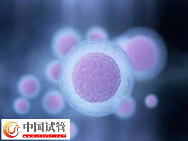 胚胎移植第11天肚子刺疼怎么回事(圖2) 胚胎移植第11天肚子刺疼怎么回事(圖2)