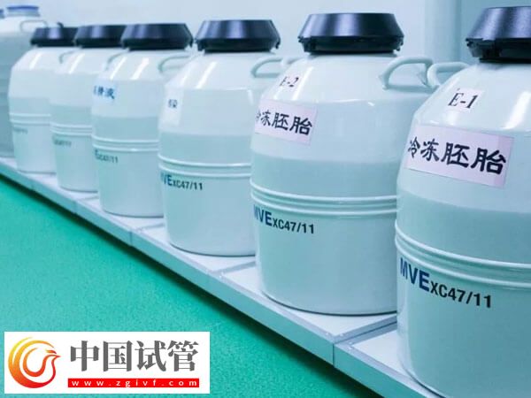 試管嬰兒CET和FET是什么意思(圖1) 試管嬰兒CET和FET是什么意思(圖1)