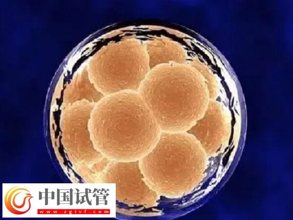 試管囊胚4cb和3ab哪個好一點(圖2)