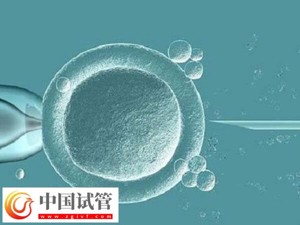 試管囊胚4cb和3ab哪個好一點(圖1)