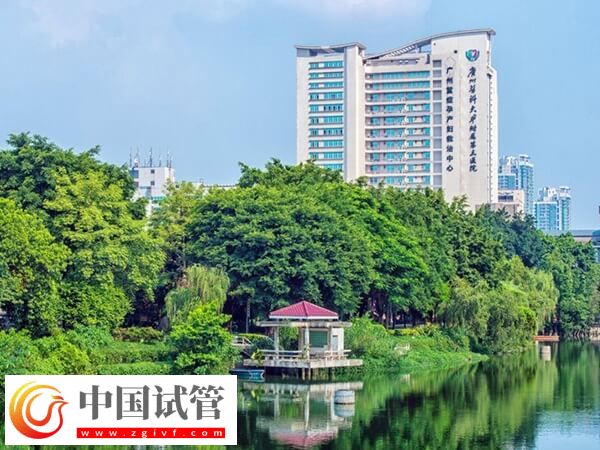 廣州三代試管醫(yī)院有哪些(圖2) 廣州三代試管醫(yī)院有哪些(圖2)