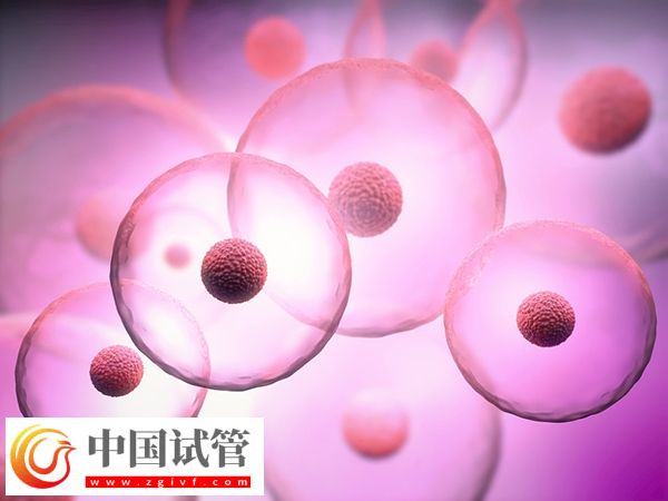 南寧試管嬰兒費(fèi)用大概要多少錢(圖2) 南寧試管嬰兒費(fèi)用大概要多少錢(圖1)