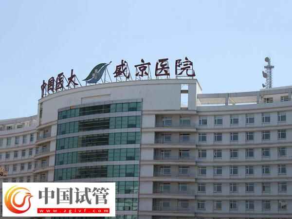 沈陽做試管嬰兒有哪些醫(yī)院(圖2) 沈陽做試管嬰兒有哪些醫(yī)院(圖2)