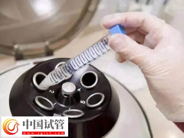 呼和浩特市試管嬰兒價格多少(圖1) 呼和浩特市試管嬰兒價格多少(圖1)