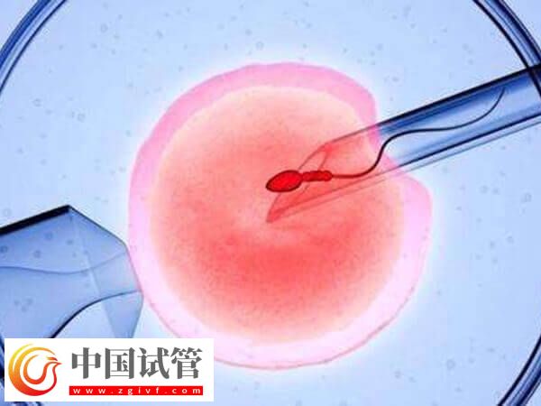 欽州婦幼試管嬰兒需要多少錢？(圖2)