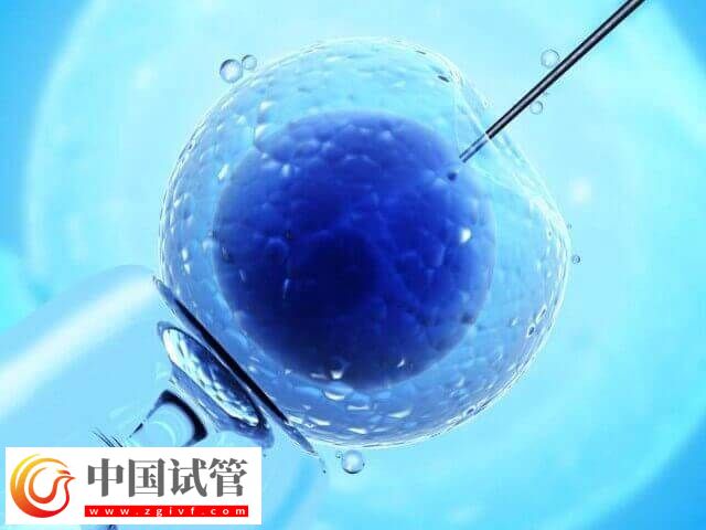 一代試管生男孩的經驗是什么(圖2)