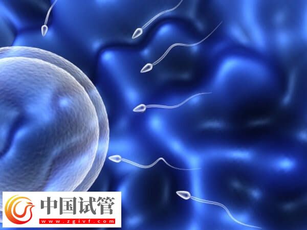 一代試管生男孩的經驗是什么(圖1)