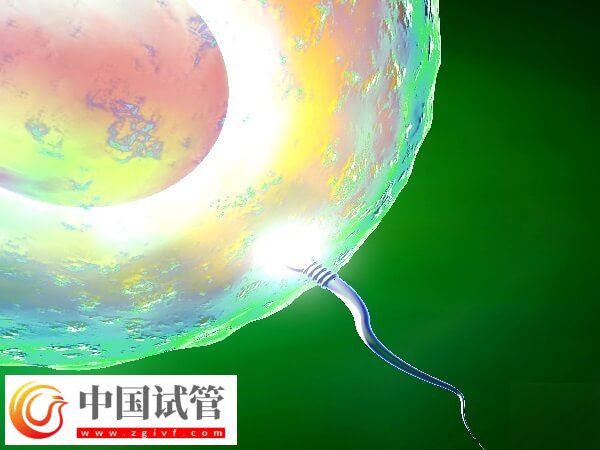 53歲高齡女性做試管嬰兒(圖1) 53歲高齡女性做試管嬰兒(圖1)