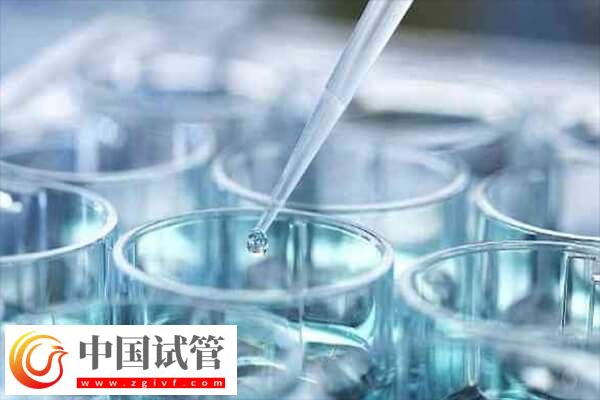 試管不成功可不可以退錢 試管嬰兒費(fèi)用(圖2) 試管不成功可不可以退錢 試管嬰兒費(fèi)用(圖2)