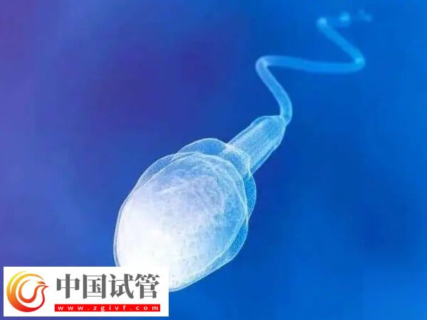 上海九院試管流程是什么(圖2)