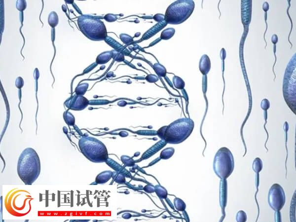 男方羅氏易位三代試管成功率多高(圖2)